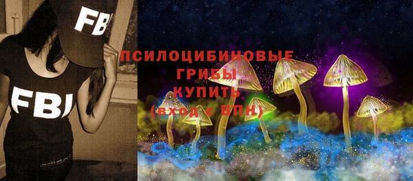 ПСИЛОЦИБИНОВЫЕ ГРИБЫ Покровск