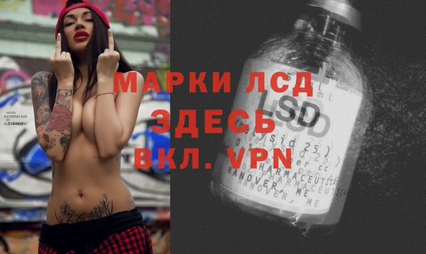 ПСИЛОЦИБИНОВЫЕ ГРИБЫ Покровск
