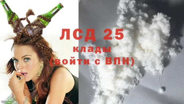 ПСИЛОЦИБИНОВЫЕ ГРИБЫ Покровск