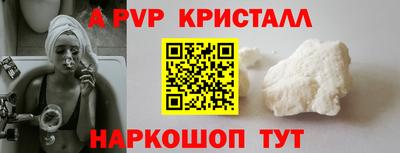 a pvp Кингисепп