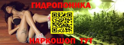2c-b Кинель