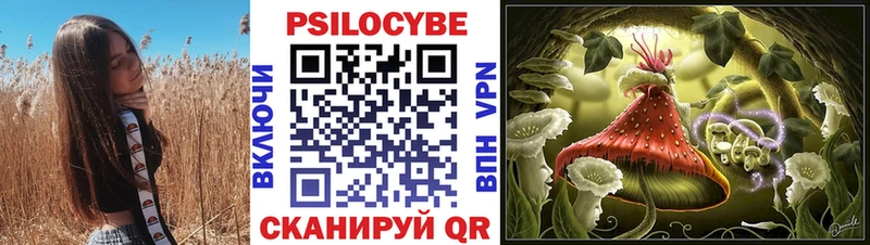 сколько стоит  Спасск-Дальний  Псилоцибиновые грибы прущие грибы 