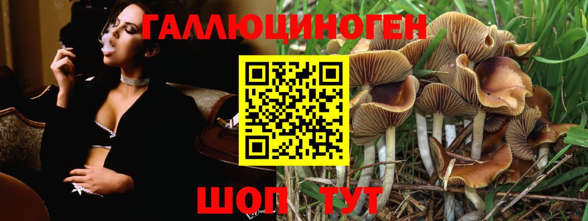 Спасск-Дальний  Галлюциногенные грибы Magic Shrooms  Вход с VPN 