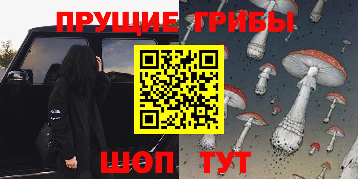 Псилоцибиновые грибы Cubensis Спасск-Дальний